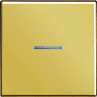 Jung LS990 Клавиша для выключателя с подсветкой, Золото ― интернет магазин электротоваров Вип-Электро