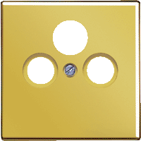 Jung LS990 Крышка для  SAT-TV-розетки, Золото ― интернет магазин электротоваров Вип-Электро