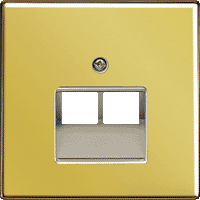 Jung LS990 Крышка для двойной телефонной и компьютерной розетки UAE, Золото ― интернет магазин электротоваров Вип-Электро