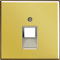 Jung LS990 Крышка для одинарной телефонной и компьютерной розетки UAE; золото ― интернет магазин электротоваров Вип-Электро