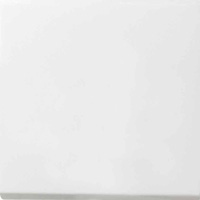 Gira F100 белый глянцевый Накладка светорегулятора/выключателя нажимного с ДУ (радио) ― интернет магазин электротоваров Вип-Электро