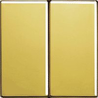 Jung LS990 Клавиши для сдвоенных выключателей; золото